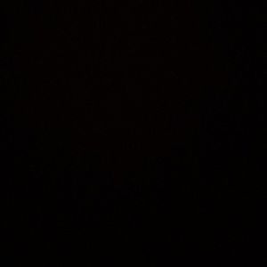 Meet your Posher, Madeline